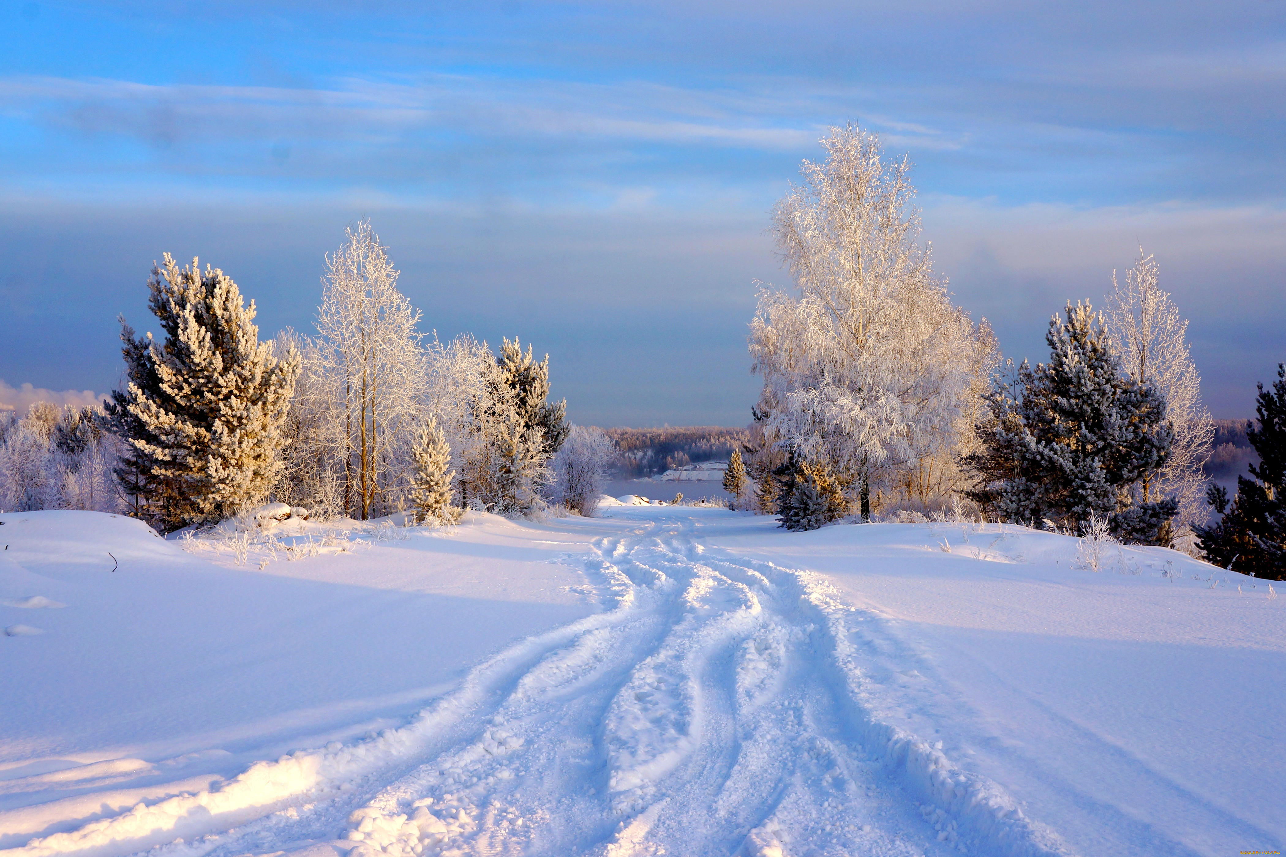 природа, зима, деревья, снег.